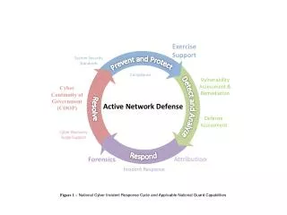 Active Network Defense