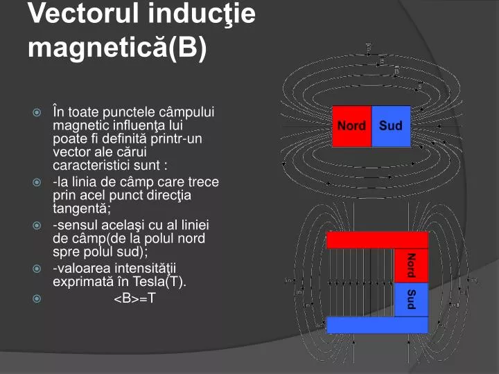 vectorul induc ie magnetic b