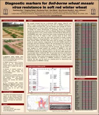Diagnostic markers for Soil-borne wheat mosaic virus resistance in soft red winter wheat