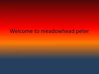 Welcome to meadowhead peter