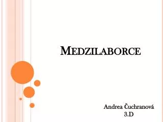 Medzilaborce