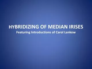 HY BRIDIZING OF MEDIAN IRISES Featuring Introductions of Carol Lankow