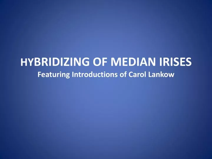 hy bridizing of median irises featuring introductions of carol lankow