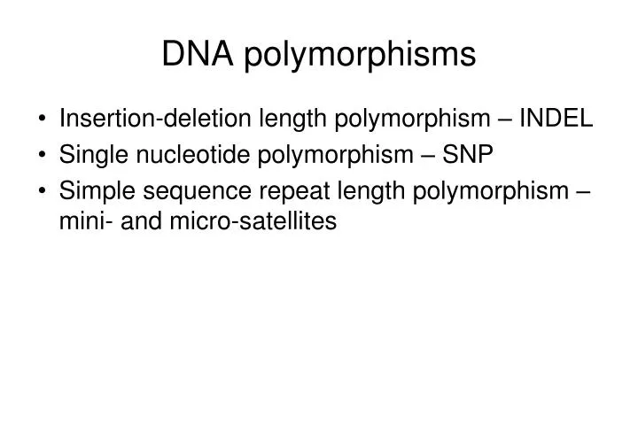 dna polymorphisms