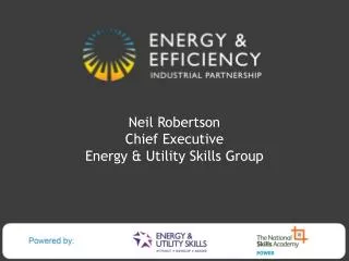 Neil Robertson Chief Executive Energy &amp; Utility Skills Group