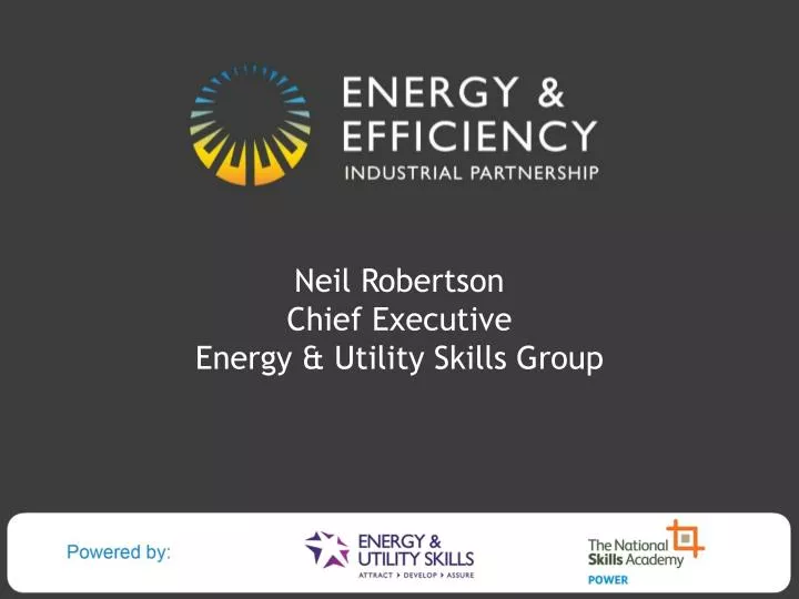 neil robertson chief executive energy utility skills group