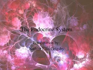 The Endocrine System