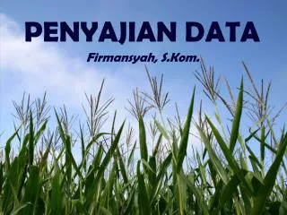 penyajian data