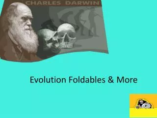 Evolution Foldables &amp; More