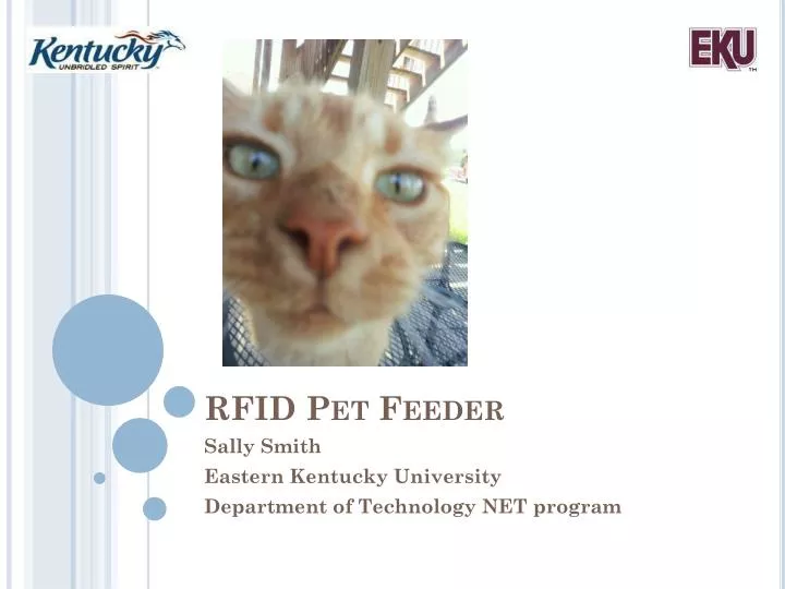 rfid pet feeder