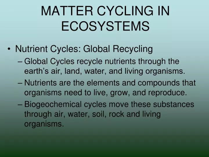 matter cycling in ecosystems