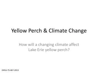 Yellow Perch &amp; Climate Change