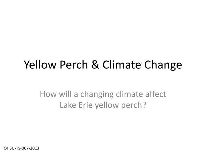 yellow perch climate change