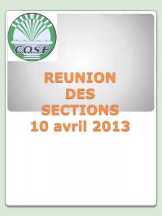 reunion des sections 10 avril 2013
