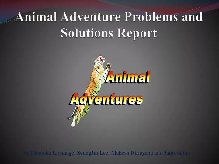 animal adventure problems and solutions report