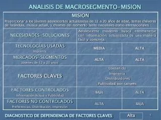 ANALISIS DE MACROSEGMENTO-MISION