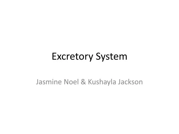 excretory system