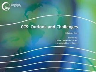 CCS: Outlook and Challenges