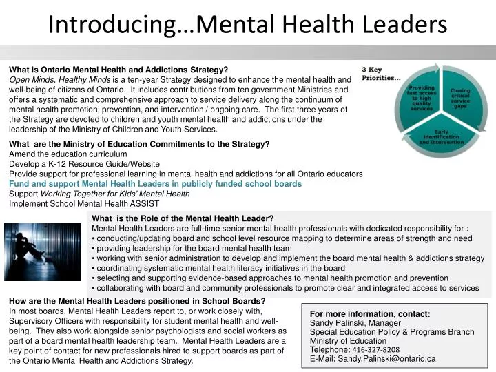 introducing mental health leaders