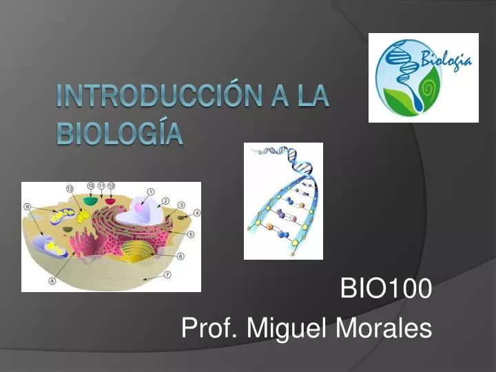 bio100 prof miguel morales