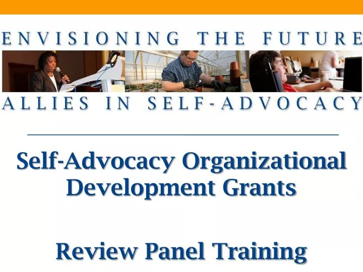 self advocacy organizational development grants review panel training