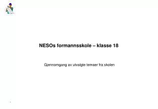 nesos formannsskole klasse 18