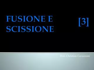 prof christian cavazzoni
