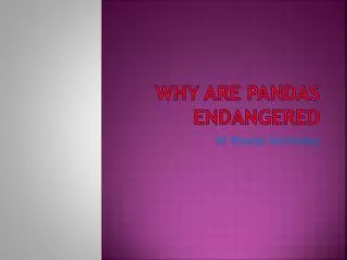 Why Are Pandas Endangered