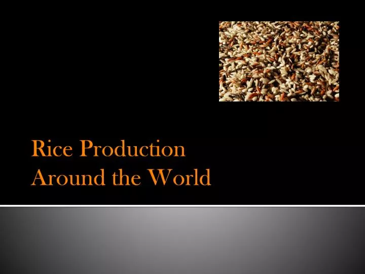 rice pr oduc tion around the world