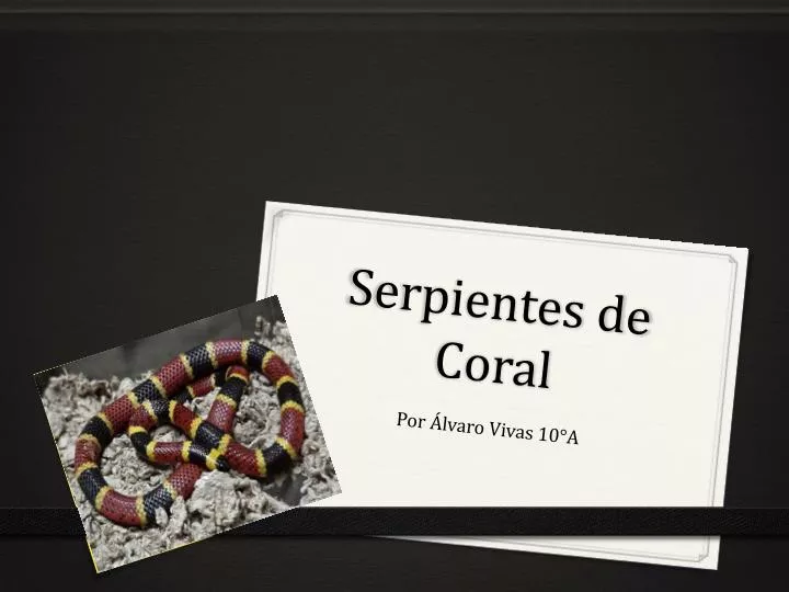 serpientes de coral