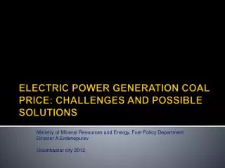 ELECTRIC POWER GENERATION COAL PRICE : CHALLENGES AND POSSIBLE SOLUTIONS