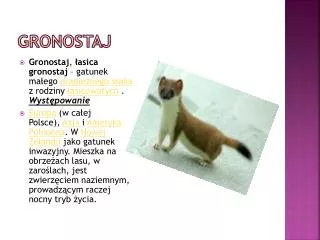 gronostaj
