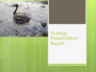 Ecology Presentation/ Report