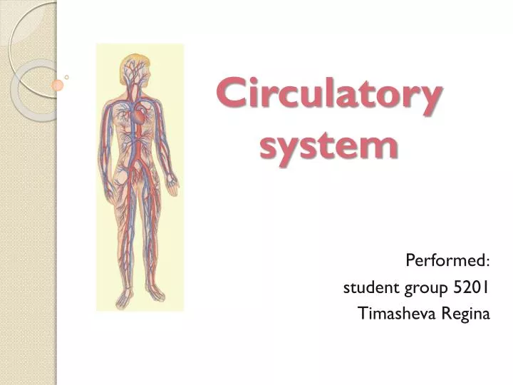 circulatory system