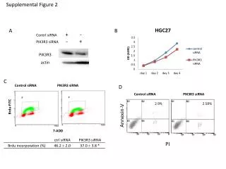 Contrl siRNA + - PIK3R3 siRNA - +