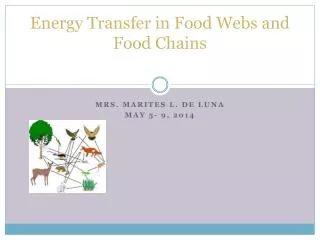 Energy Transfer in Food Webs and Food Chains