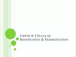 chptr 9 cellular respiration fermentation