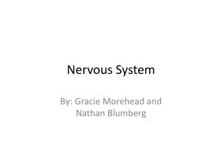 Nervous System