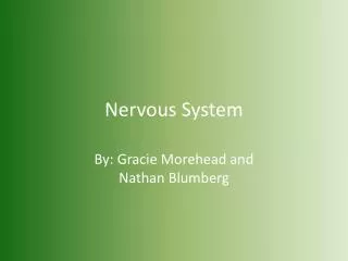 nervous system