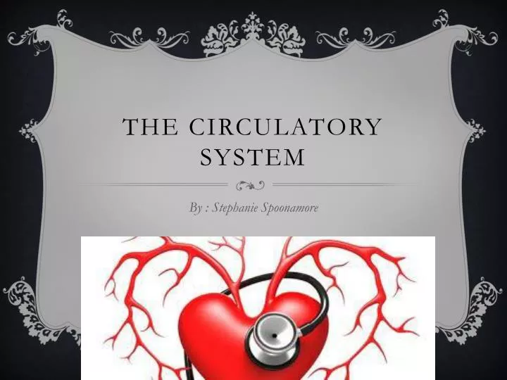 the circulatory system