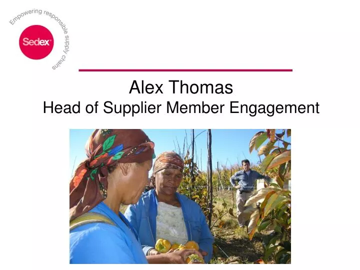 alex thomas head of supplier member engagement