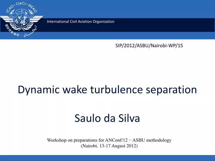 dynamic wake turbulence separation saulo da silva