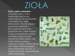 zio a