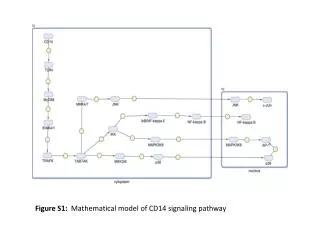 Figure S1: Mathematical model of CD14 signaling pathway