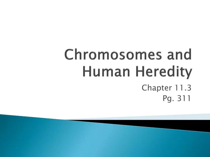 chromosomes and human heredity