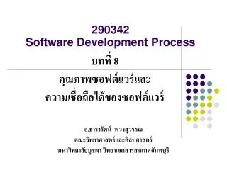 290342 software development process