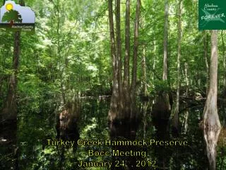 Turkey Creek Hammock Preserve Bocc Meeting January 24 th , 2012