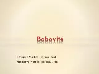 bobovit