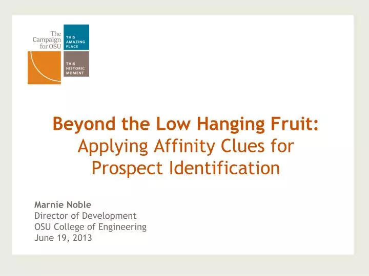 beyond the low hanging fruit applying affinity clues for prospect identification