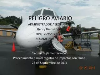 peligro aviario